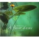 À fleur d'eau