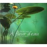 À fleur d'eau