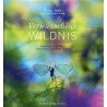 Enchanted Wilderness
