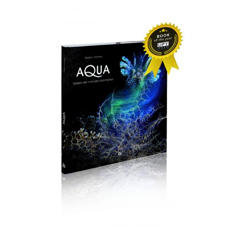 AQUA, underwater world misteries